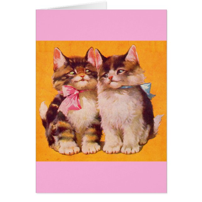 1930s adorable floofy kittens (Front)