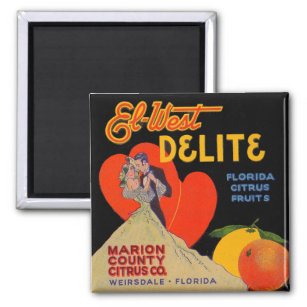 1930s art deco El-West Delite Florida Citrus Fruit Magnet