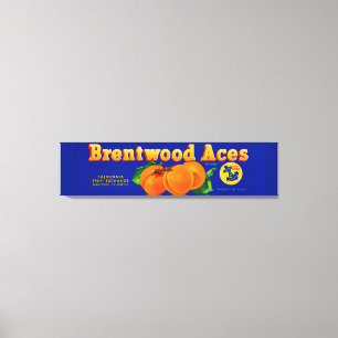 1930s Brentwood Aces apricots crate label Canvas Print