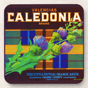 1930s Caledonia orange crate label Coaster