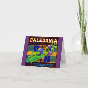 1930s Caledonia orange crate label Note Card