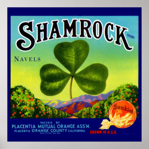 1930s fruit crate label Shamrock Navel Oranges Poster