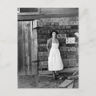 1930s License Plate Collection Postcard