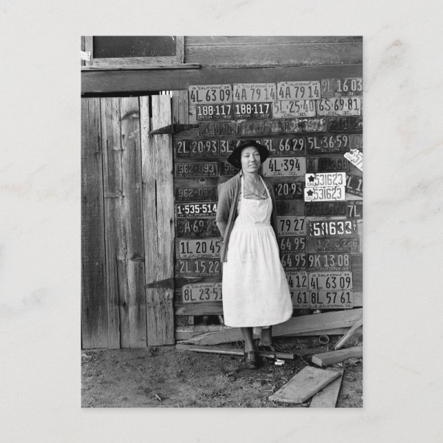 1930s License Plate Collection Postcard (Front)