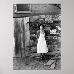 1930s License Plate Collection Poster