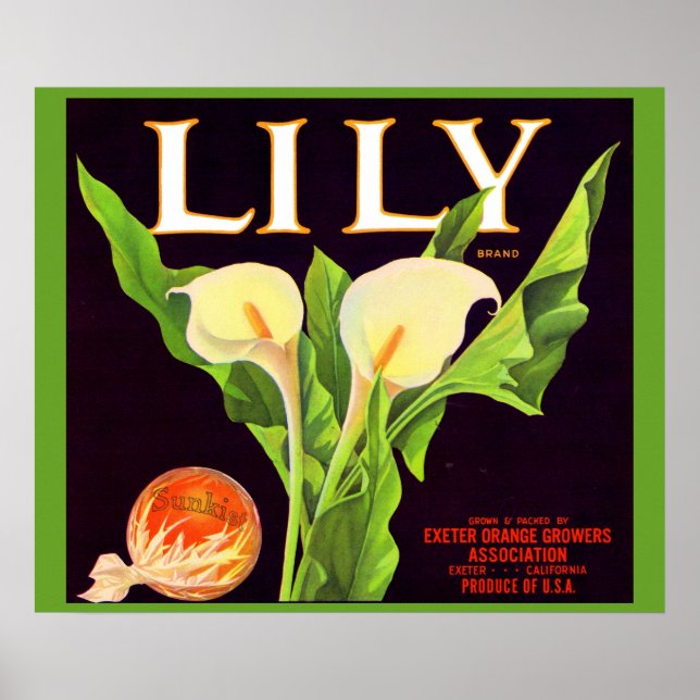 1930s Lily orange crate label  Poster (Front)