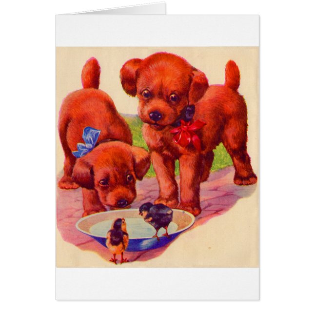 1930s puppies and birds (Front)