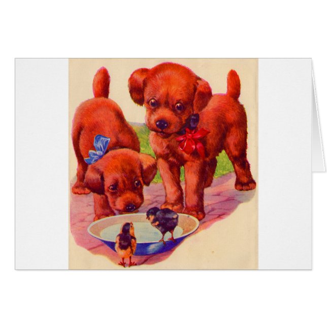 1930s puppies and birds (Front Horizontal)