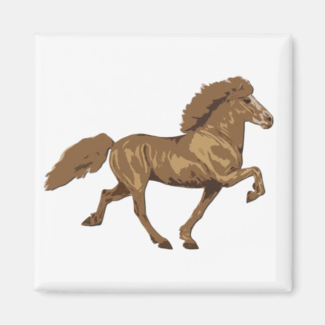 1930's Vintage Icelandic Magnet (Front)