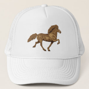 1930's Vintage Icelandic Trucker Hat