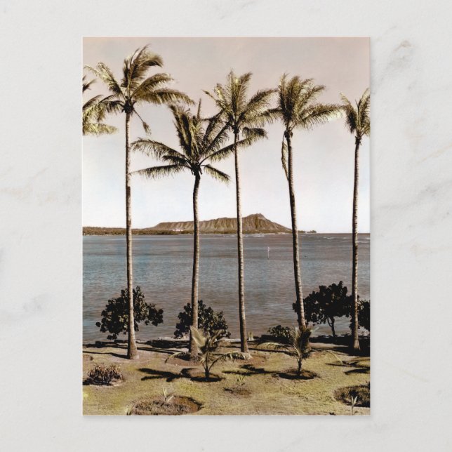 1940 Diamond Head Hawaii Postcard (Front)