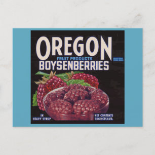 1940s Oregon Boysenberries can label Postcard