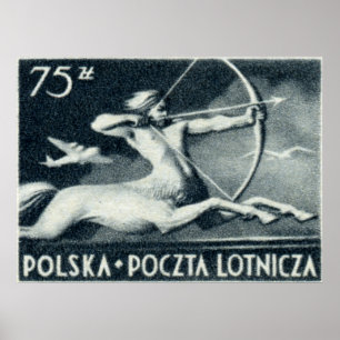 1948 75 zt Polish Airmail Stamp Poster