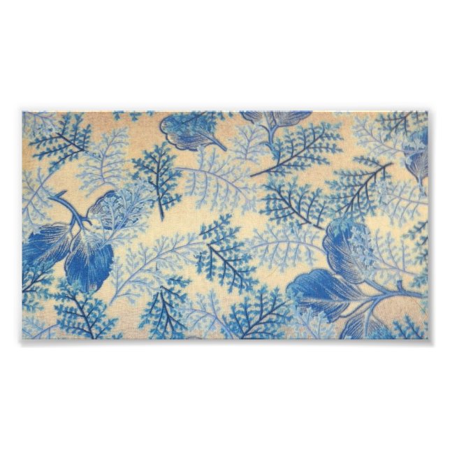 1950s blue ferns photo print (Front)