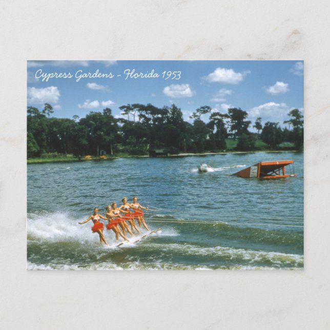 1950's Cypress Gardens Water Ski Show Aqua Maids Postcard (Front)