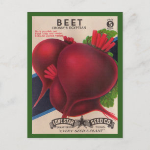 1950s seed packet Beets Postcard