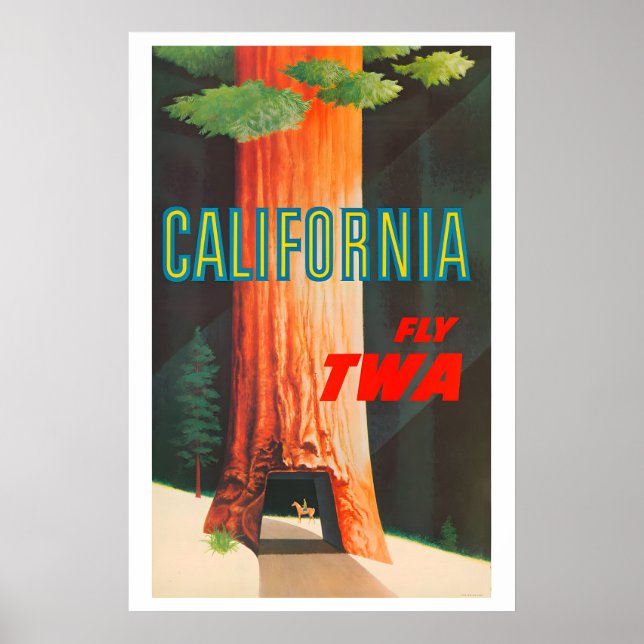 1950s TWA California Redwoods Drive Thru Tree Poster (Front)