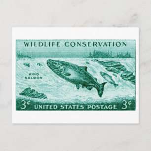 1956 Wildlife Conservation, Salmon Postcard