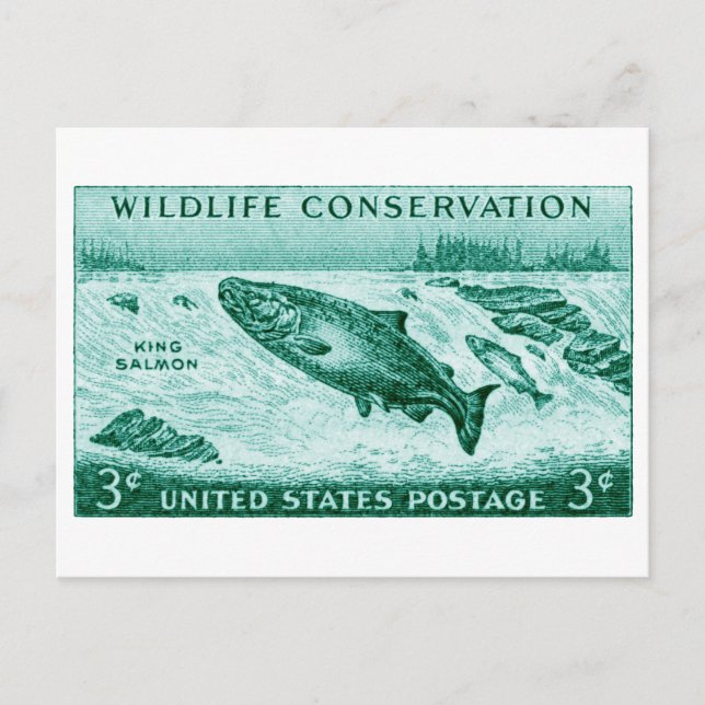1956 Wildlife Conservation, Salmon Postcard (Front)