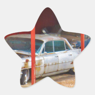 1963 Silver Sadan deville Star Sticker
