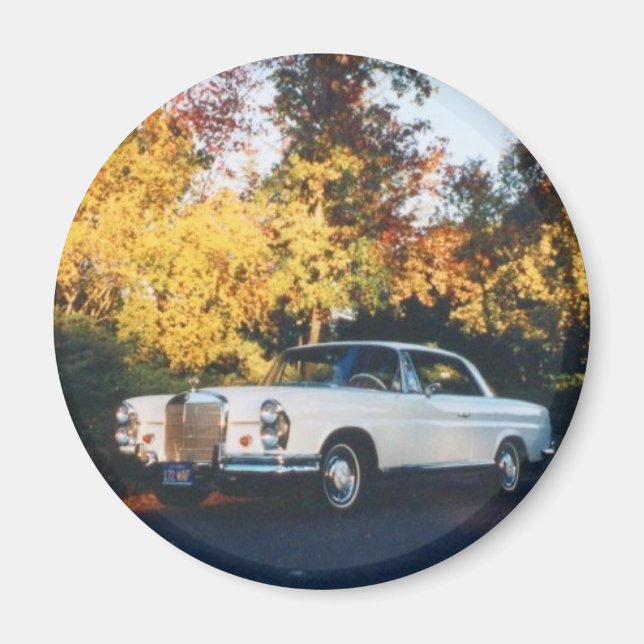 1965 Mercedes-Benz 220SEb coupe Magnet (Front)