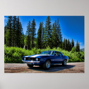 1969 SS Camaro Poster