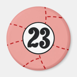 1971 RACING MAGNET