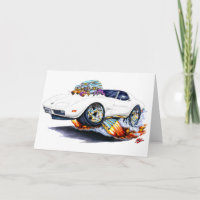 1973-76 Corvette White Car