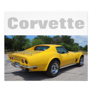1973 Corvette Stingray Designer Photo Print