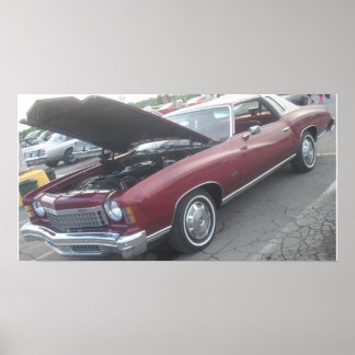 1974 Chevrolet/Chevy Monte Carlo Poster