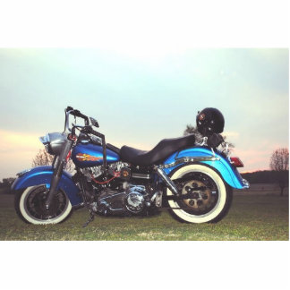 1978 FLH STANDING PHOTO SCULPTURE