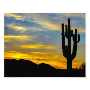1996-2-Arizona Desert at Sunset with Saguaros Photo Print