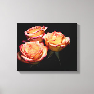 1998-Yellow and Pink Roses Canvas Print