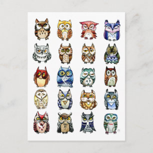 19 and 1 Cat and Owls Postcard