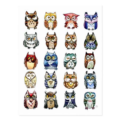 Image of 19 and 1 Cat and Owls Postcard