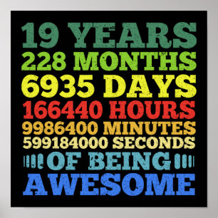 19 Years Old Vintage 19th Birthday 228 Months Poster
