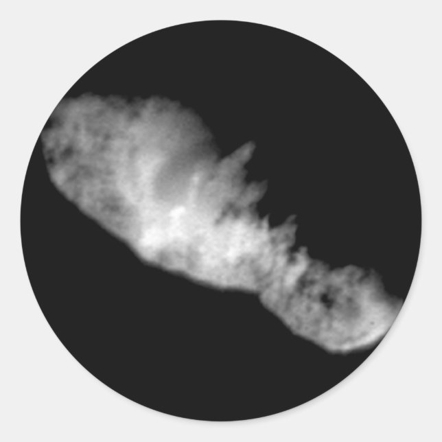 19P/Borrelly Classic Round Sticker (Front)