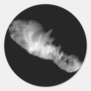 19P/Borrelly Classic Round Sticker