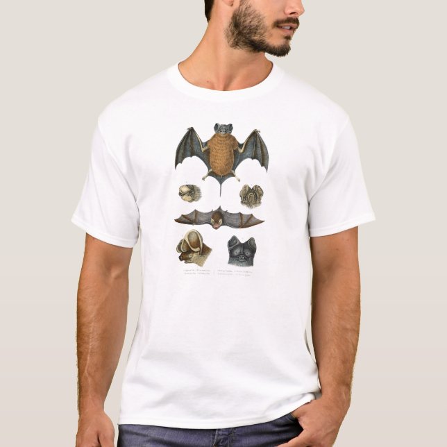 19th C. Bat Print T-Shirt (Front)