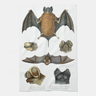 19th C. Bat Print Tea Towel