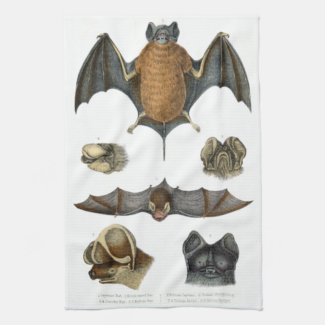 19th C. Bat Print Tea Towel (Vertical)