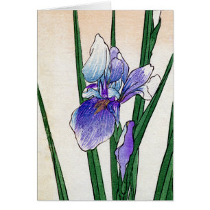 19th C. Japanese Iris