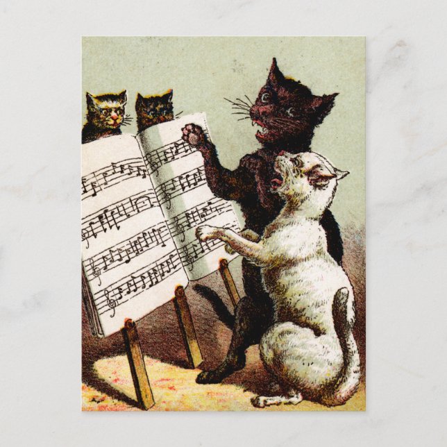 19th C. Singing Cats Postcard (Front)