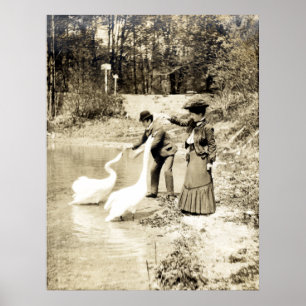 19th C. Swans in Paris Poster