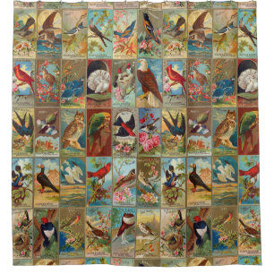 19th Century Birds of America Illustrations Shower Curtain