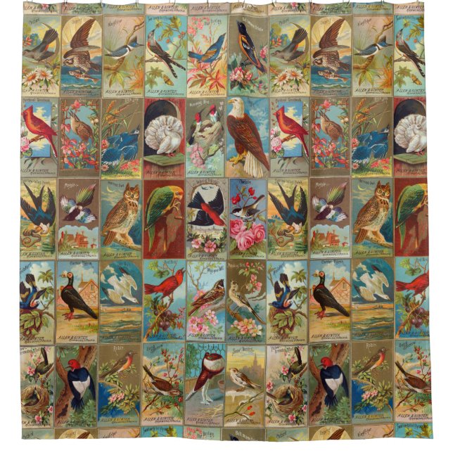 19th Century Birds of America Illustrations Shower Curtain (Front)