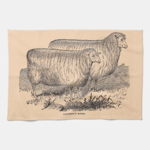 19th century Cotswold ewes print Tea Towel