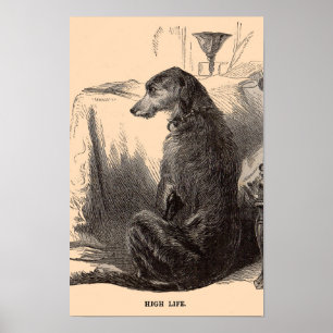 19th century dog print High Life