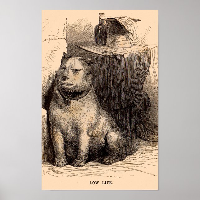 19th century dog print Low Life (Front)