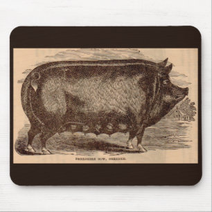 19th century farm animal print Berkshire sow no. 1 Mouse Mat